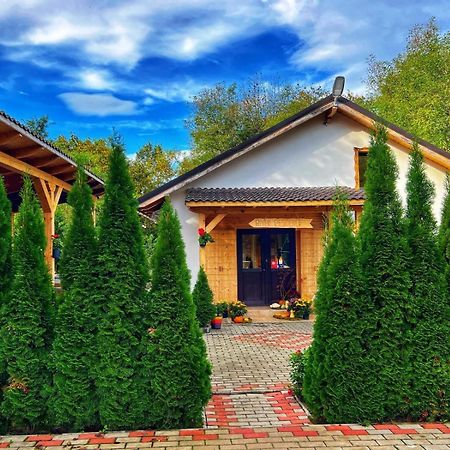 River Residence Chalet Statiunea Climaterica Sambata Εξωτερικό φωτογραφία