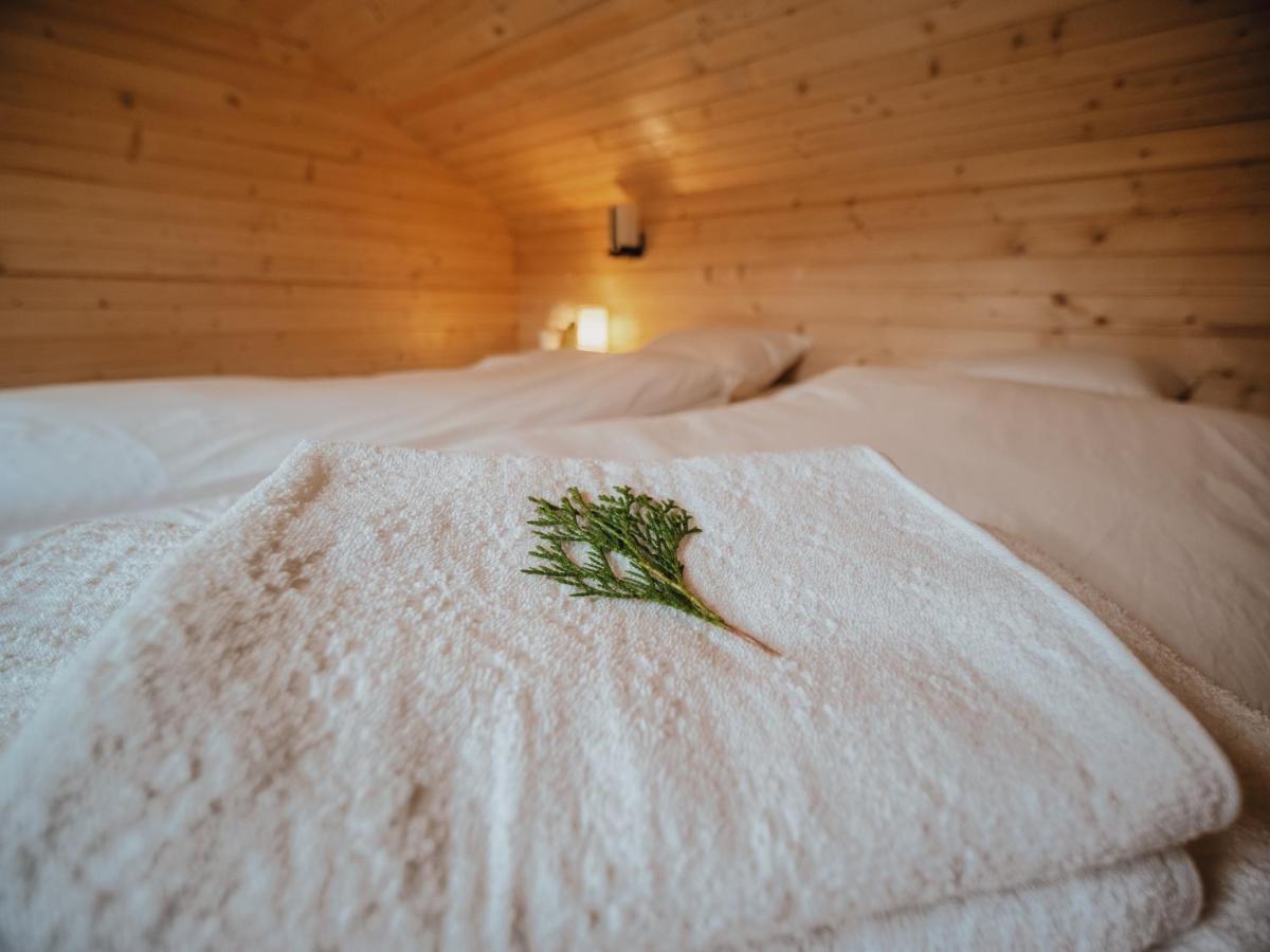River Residence Chalet Statiunea Climaterica Sambata Εξωτερικό φωτογραφία