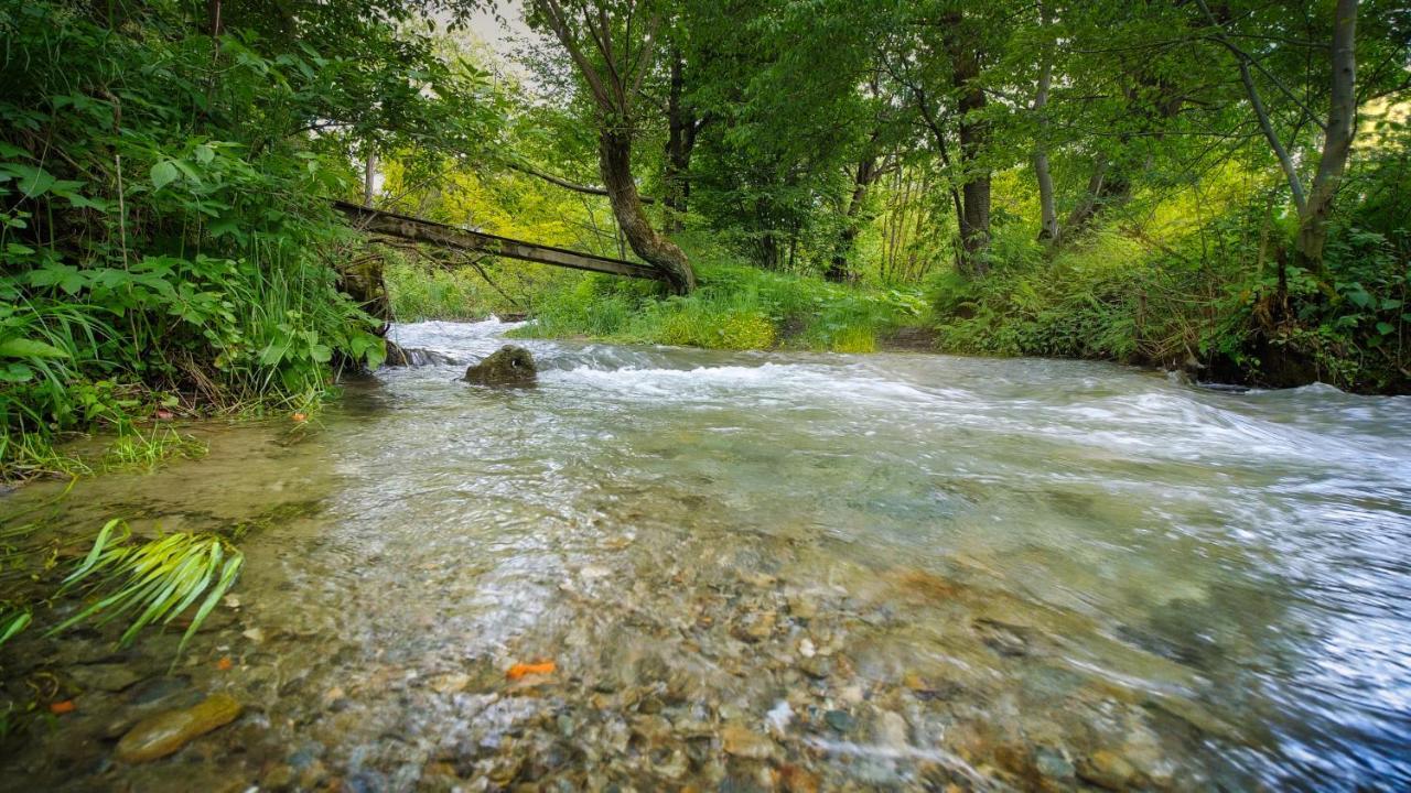 River Residence Chalet Statiunea Climaterica Sambata Εξωτερικό φωτογραφία