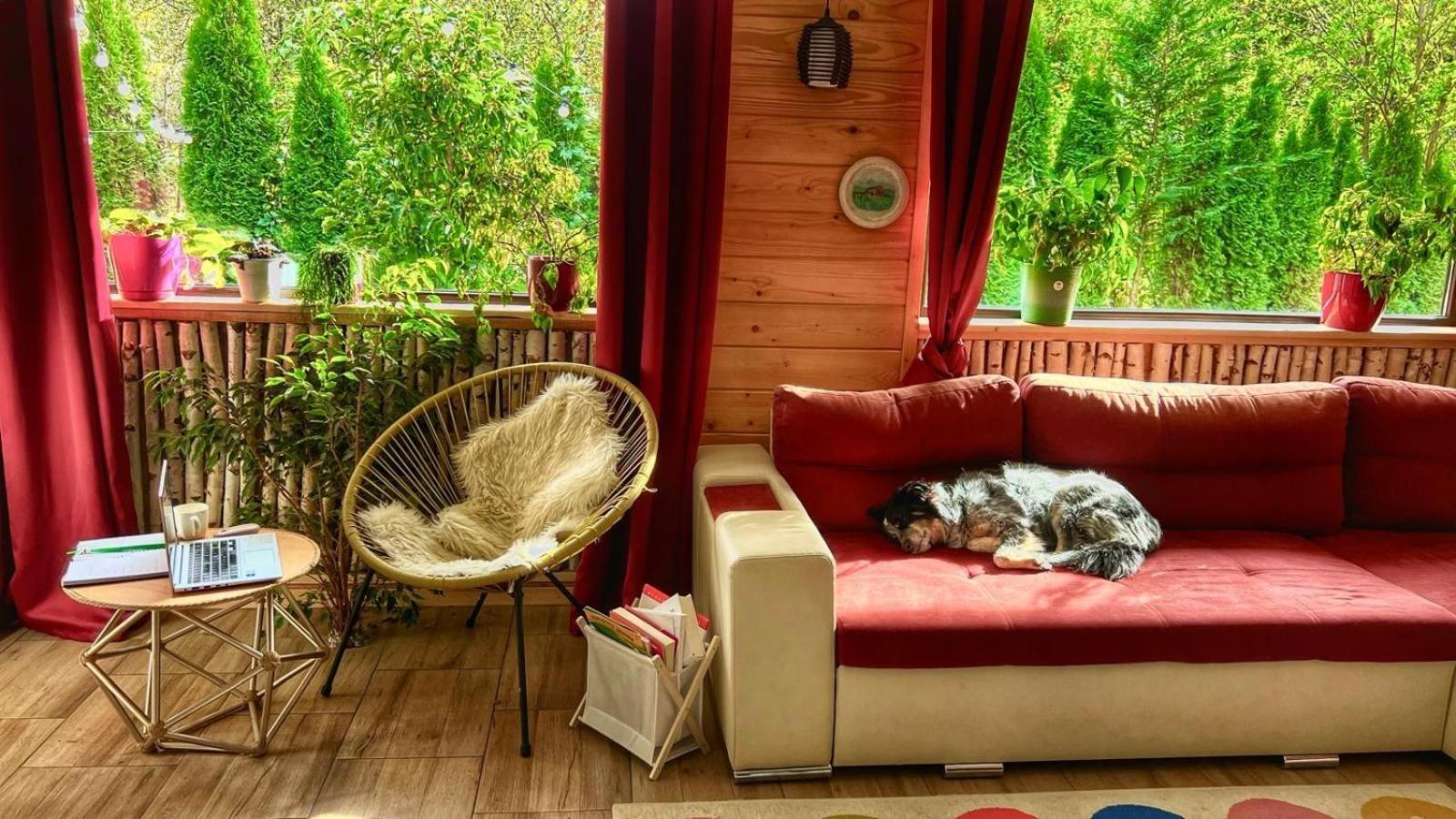 River Residence Chalet Statiunea Climaterica Sambata Εξωτερικό φωτογραφία